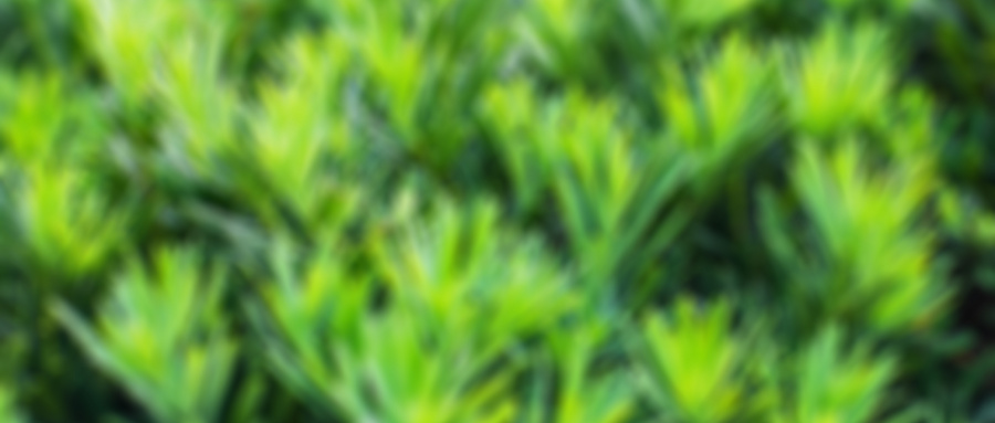 白內(nèi)障人工晶體