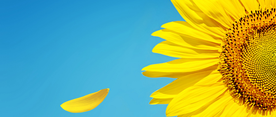 白內(nèi)障原因