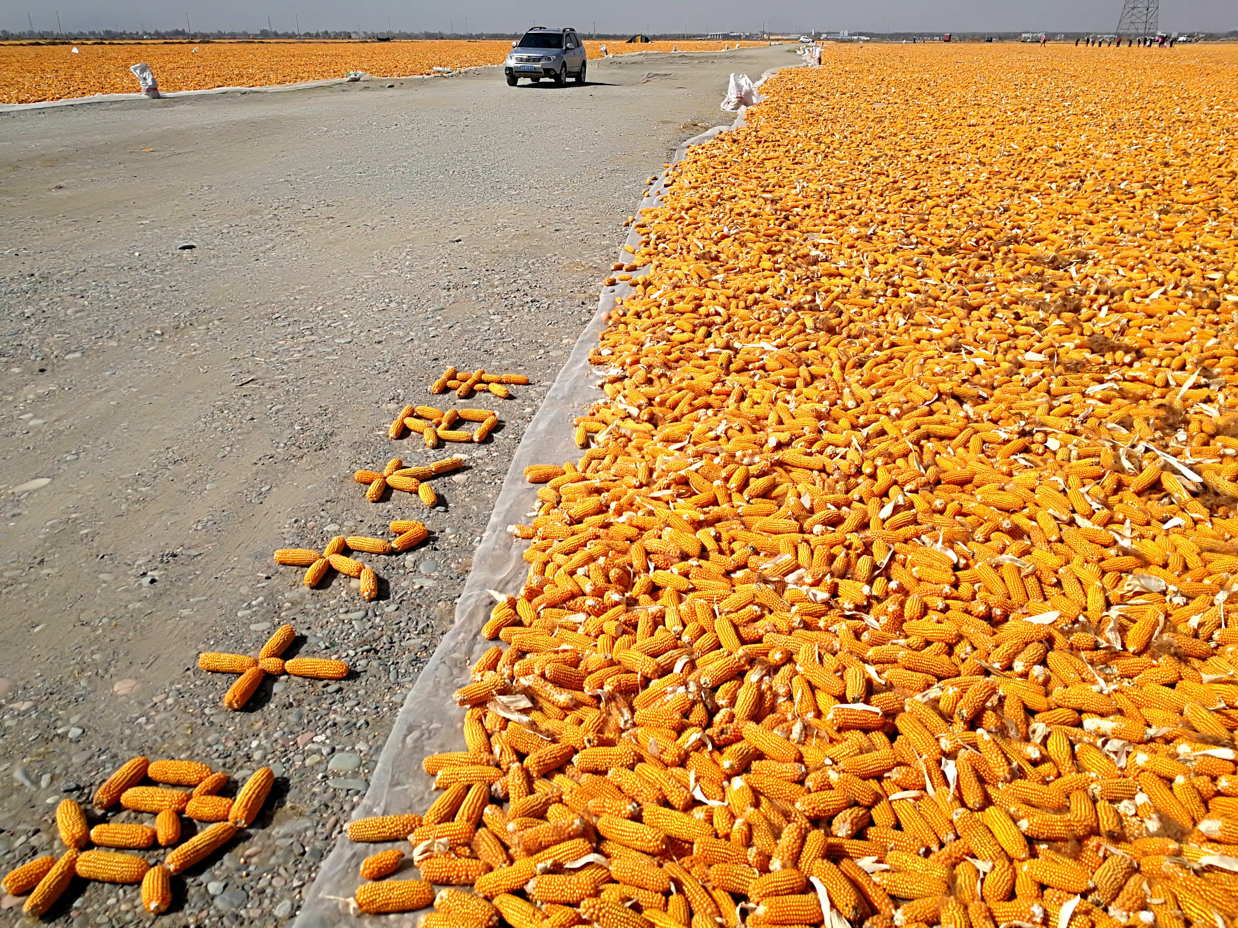白內(nèi)障飲食